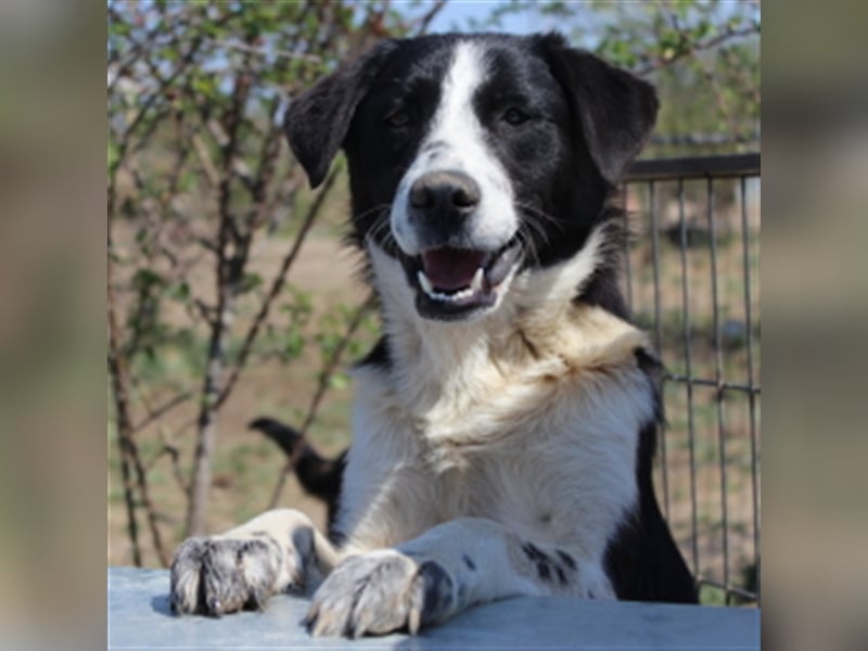 Alle sagen ich bin so hübsch aber irgendwie sieht es hier draußen leider keiner