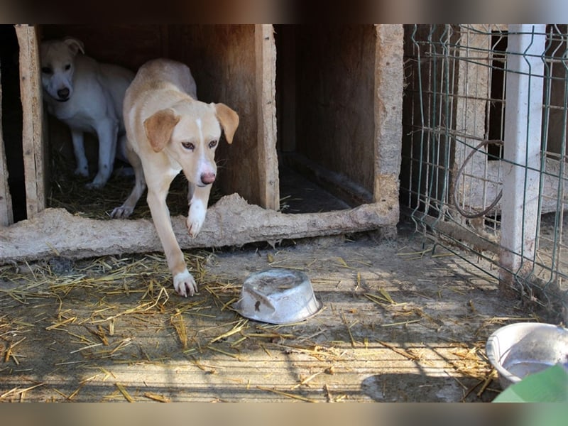 Soleil möchte ein zu Hause