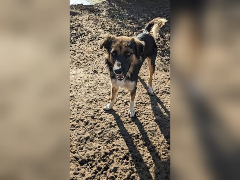 Matheo möchte endlich ein zu Hause