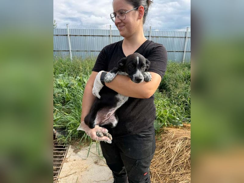 Dottie sucht ihre Menschen