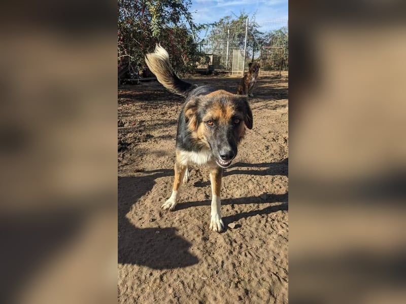 Matheo möchte endlich ein zu Hause