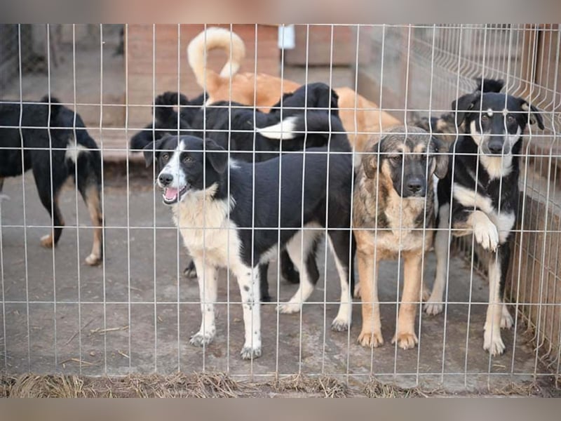 Alle sagen ich bin so hübsch aber irgendwie sieht es hier draußen leider keiner