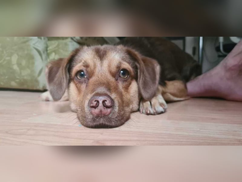 Sara sucht ihre Menschen