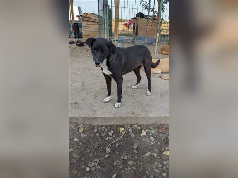 Jean möchte endlich ihre Chance