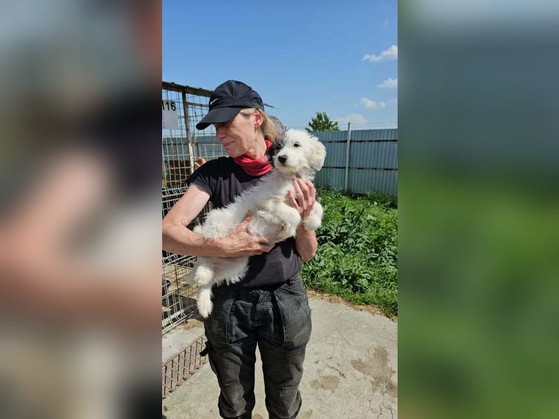 Cleo ist bereit für Abenteuer