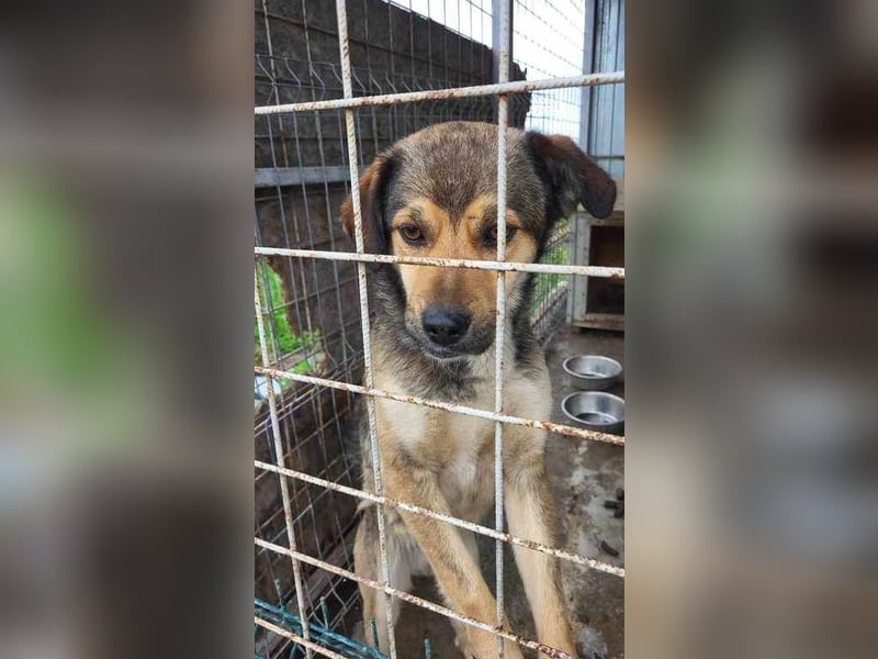 Francis möchte dem Shelter entfliehen