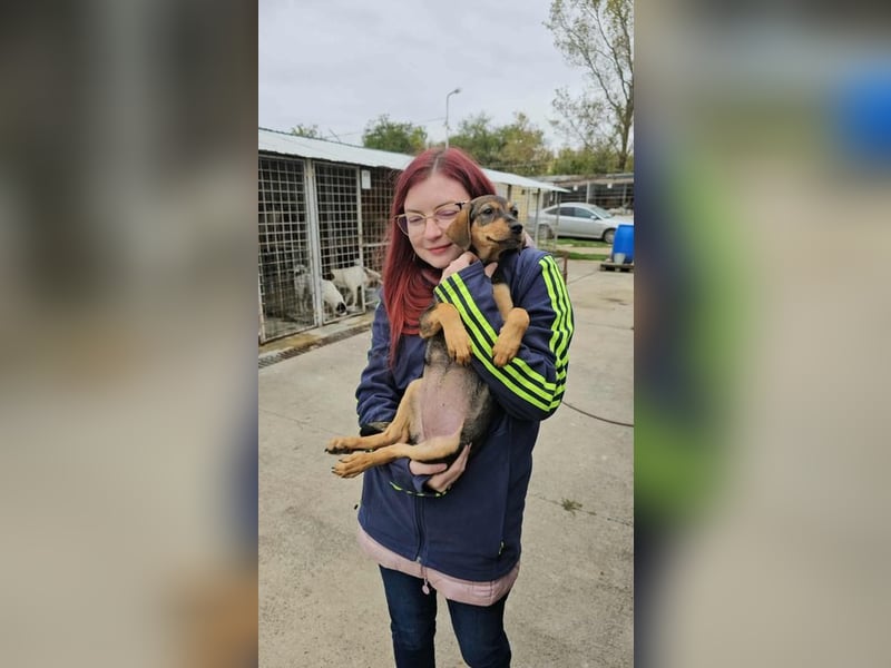 Gila sucht Kuschelplatz