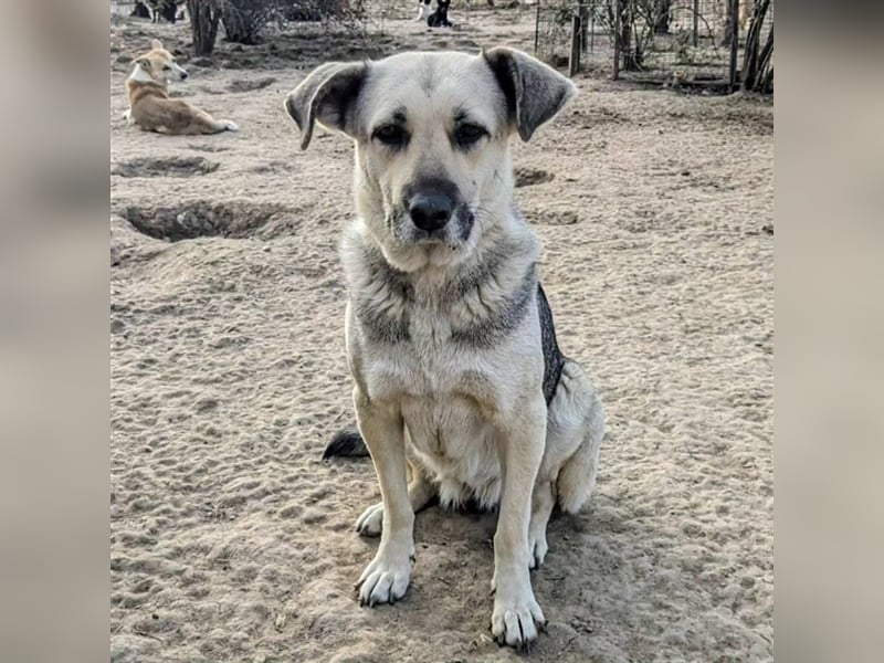 Juwel wünscht sich Menschen, die sie einfach nur lieb haben