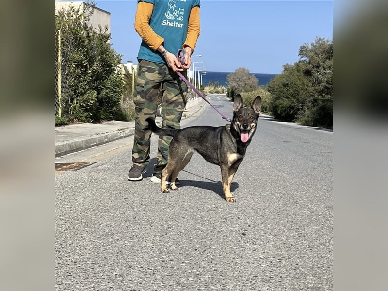 Wunderschöne Melina sucht Familie