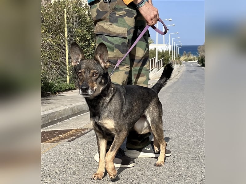 Wunderschöne Melina sucht Familie