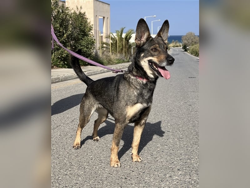 Wunderschöne Melina sucht Familie