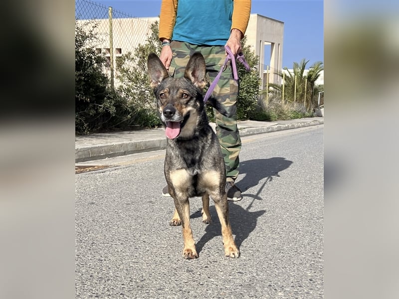 Wunderschöne Melina sucht Familie