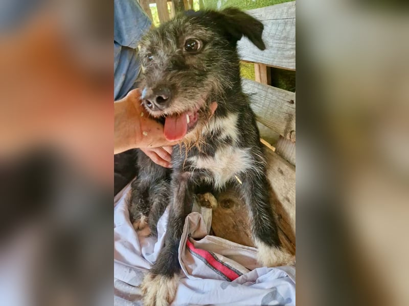 Luna sucht einen Ort zum Ankommen