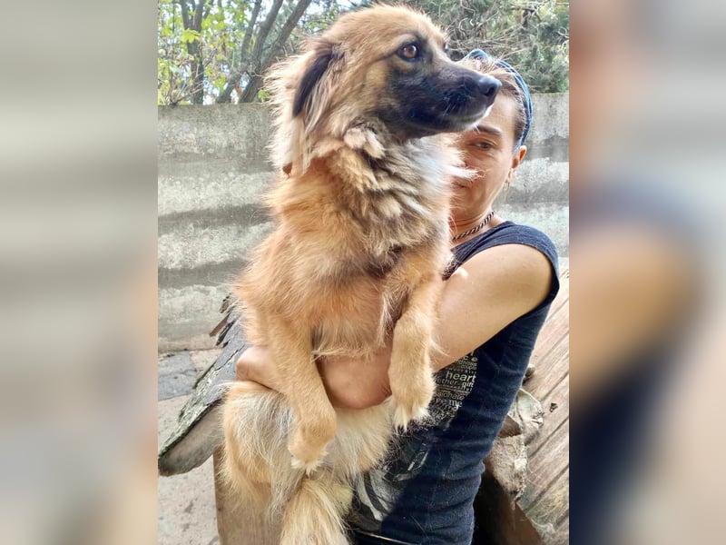 Freundliche Linda ist verspielt und verträglich