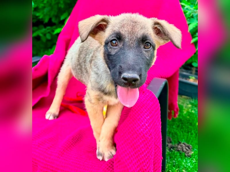PAULINA , auf der Suche nach Glück