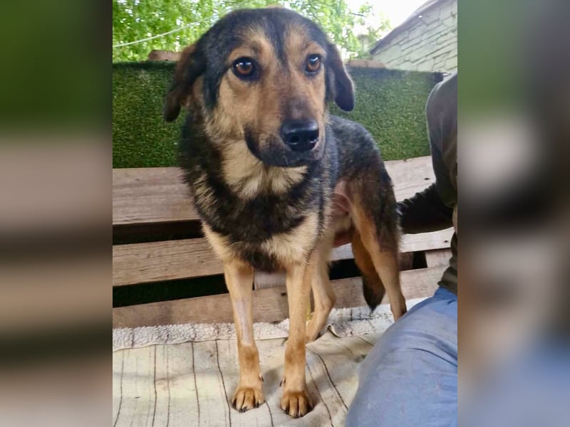 Susa, sie bettelt hinter Gittern um Liebe...