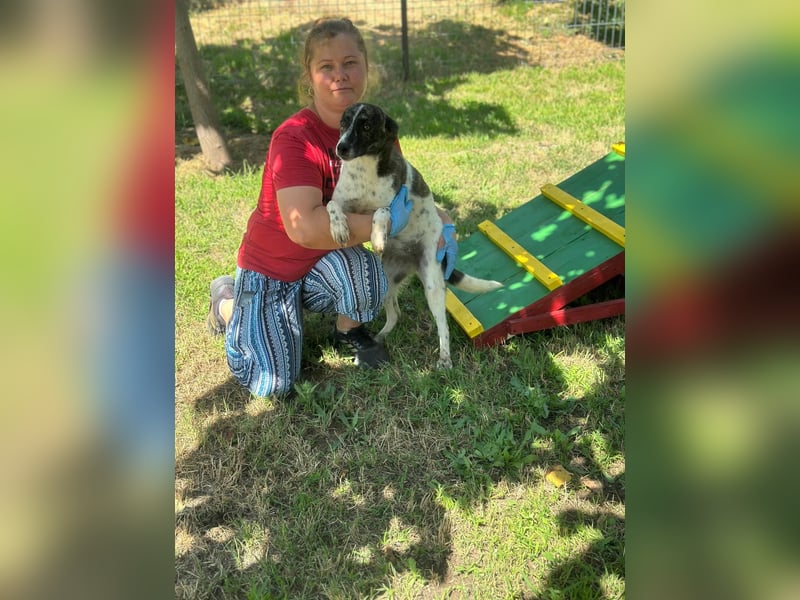 Püppie - 10 Monate - mittelgroß