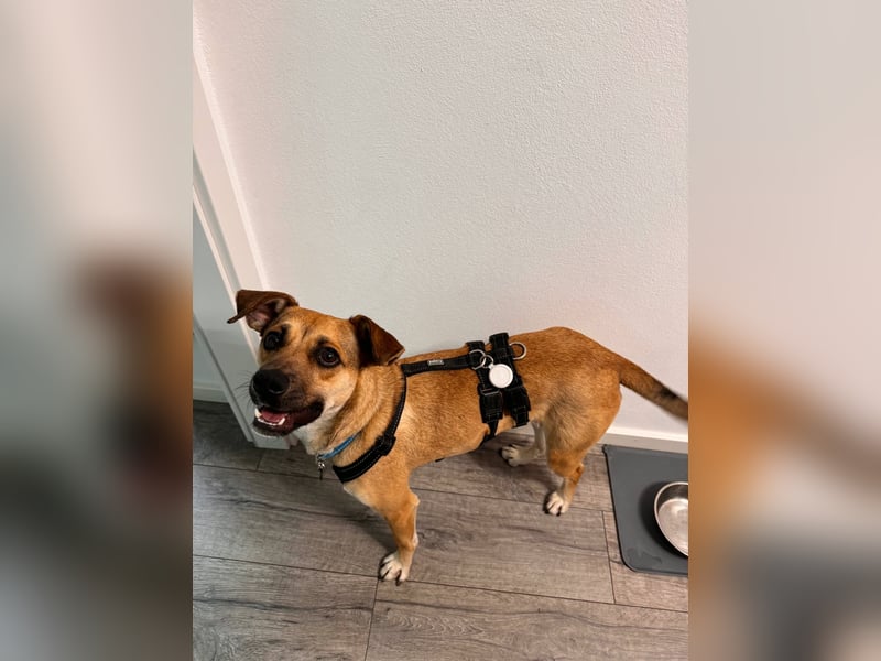 Süße Marny sucht ihr Für-Immer-Zuhause