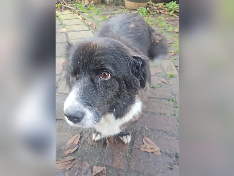 Gnadenplatz für Max gesucht