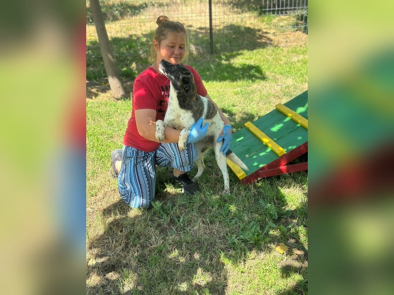 Püppie - 10 Monate - mittelgroß