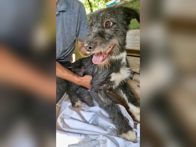 Luna sucht einen Ort zum Ankommen