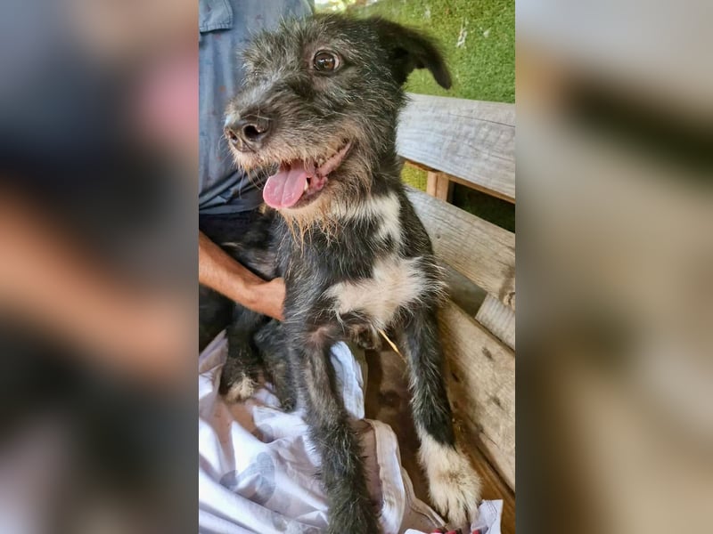 Luna sucht einen Ort zum Ankommen