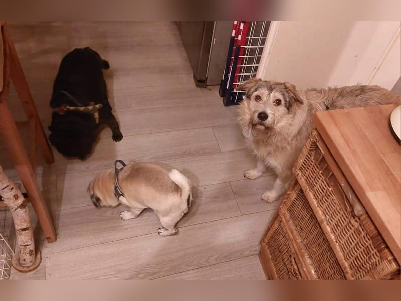 Freundliche Mia sucht Ihre Herzensmenschen