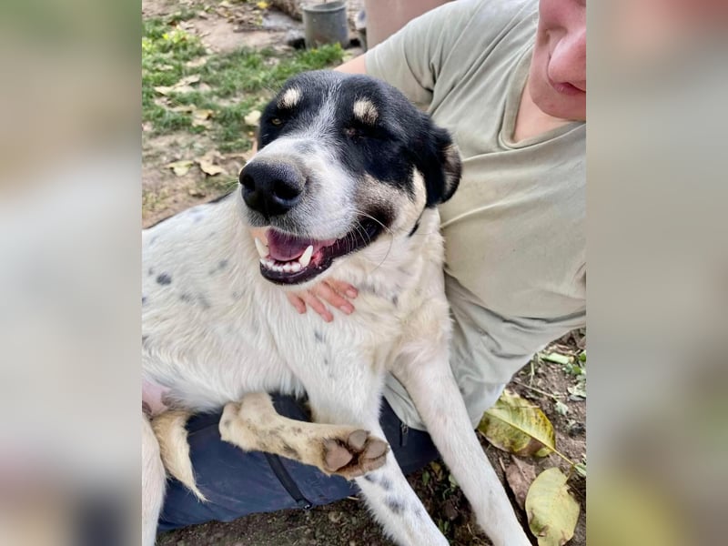 Jaron - bildhübscher, junger Bursche