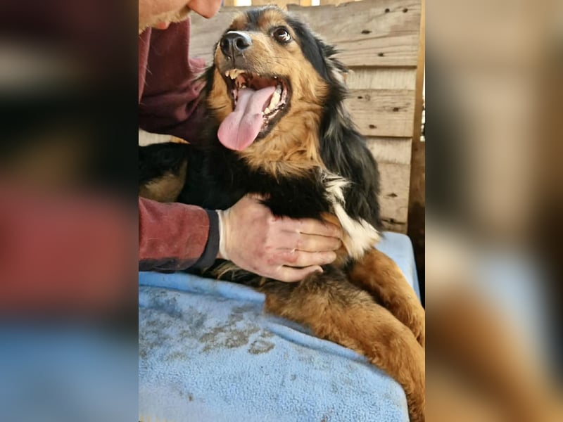 Junger Traumbursche Larry