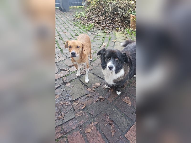 Gnadenplatz für Max gesucht