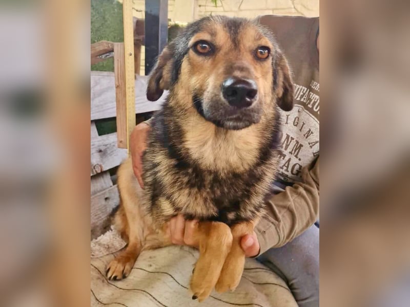 Susa, sie bettelt hinter Gittern um Liebe...