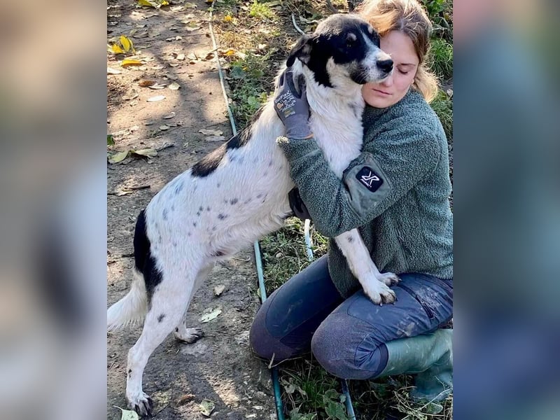 Jaron - bildhübscher, junger Bursche