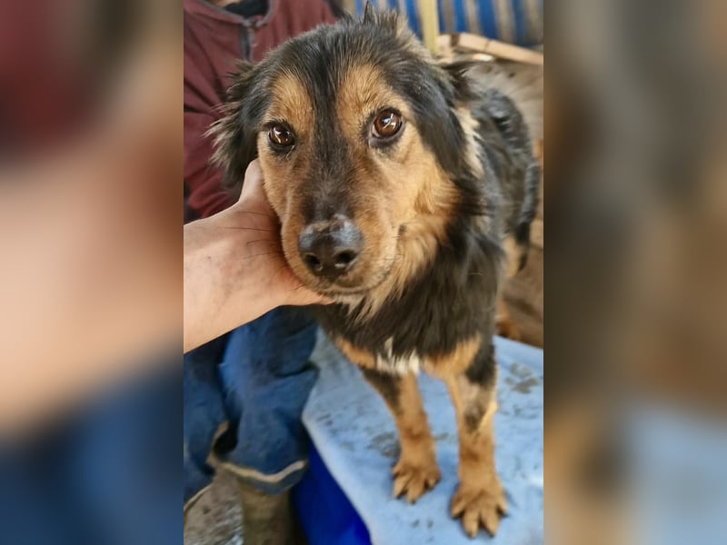 Junger Traumbursche Larry