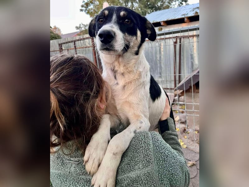 Jaron - bildhübscher, junger Bursche