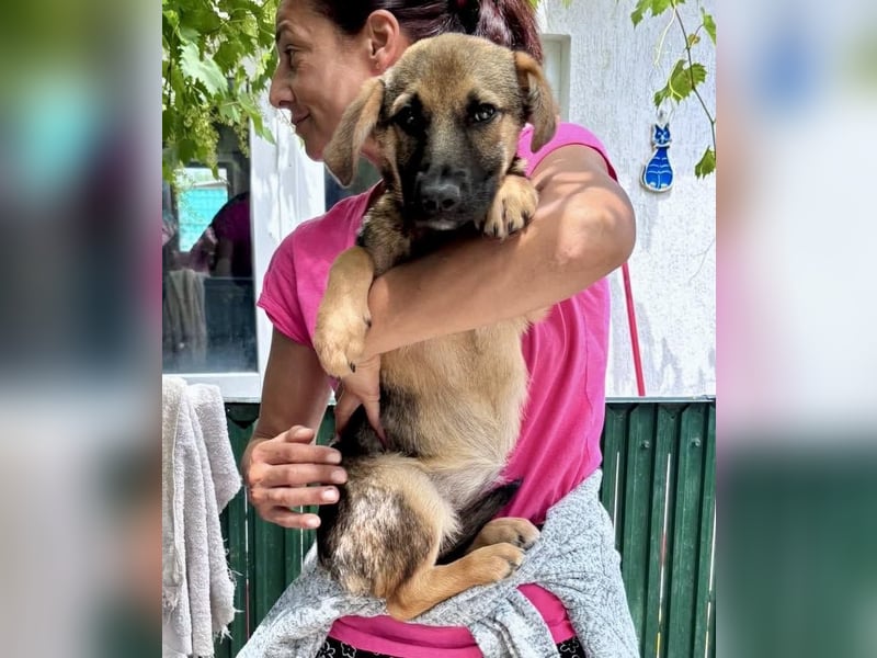 Sky – kleines Welpenmädchen sucht ihr Glück