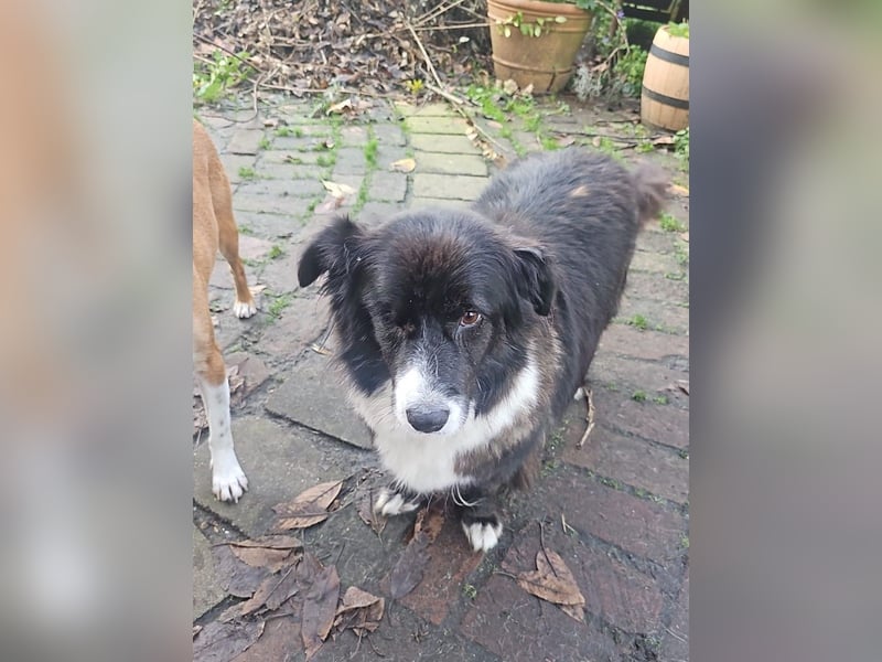 Gnadenplatz für Max gesucht