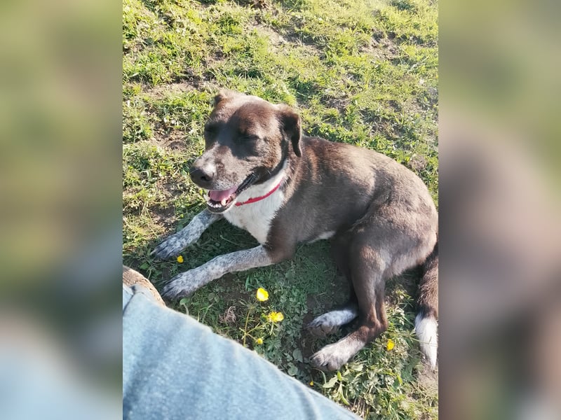 Liebenswerte Lisbeth wartet auf ihre Familie