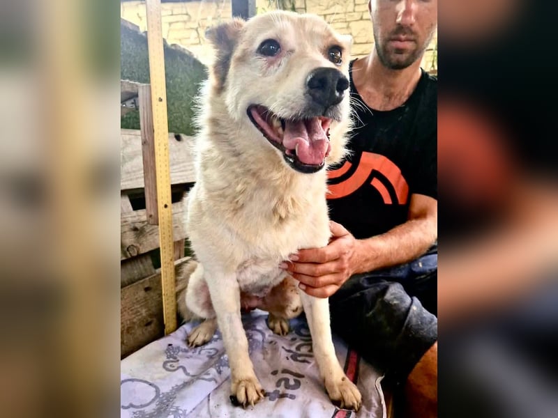 Tschigsy, sanfte Seniorin sucht ihre Familie