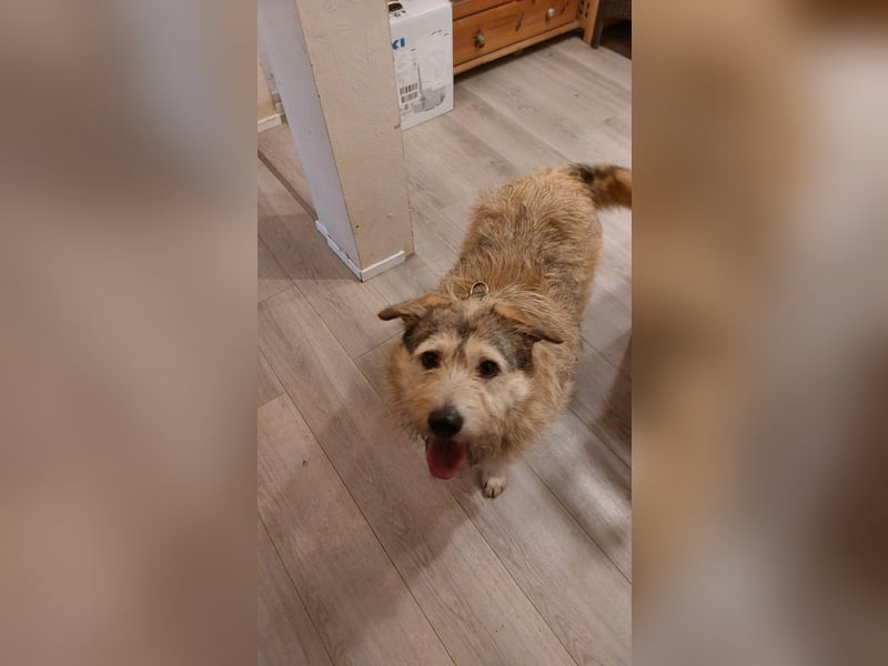 Freundliche Mia sucht Ihre Herzensmenschen