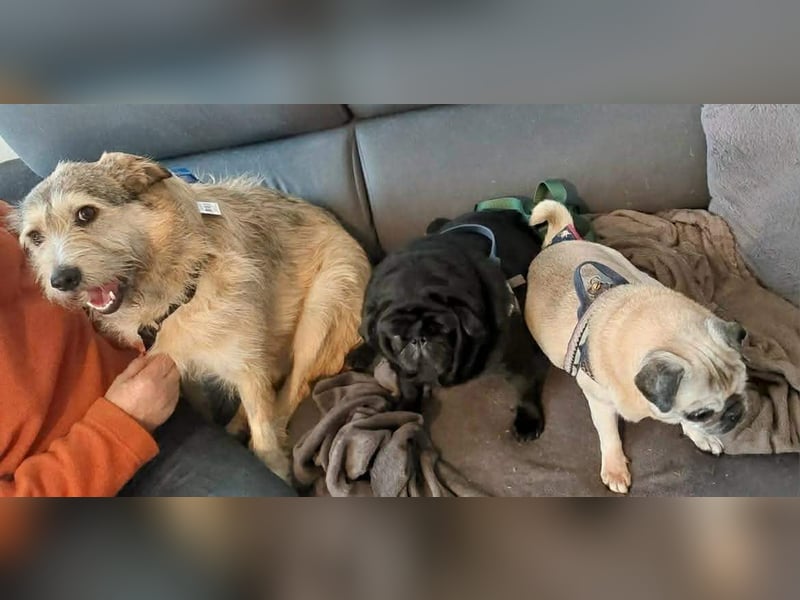 Freundliche Mia sucht Ihre Herzensmenschen