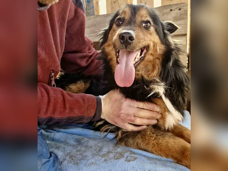 Junger Traumbursche Larry