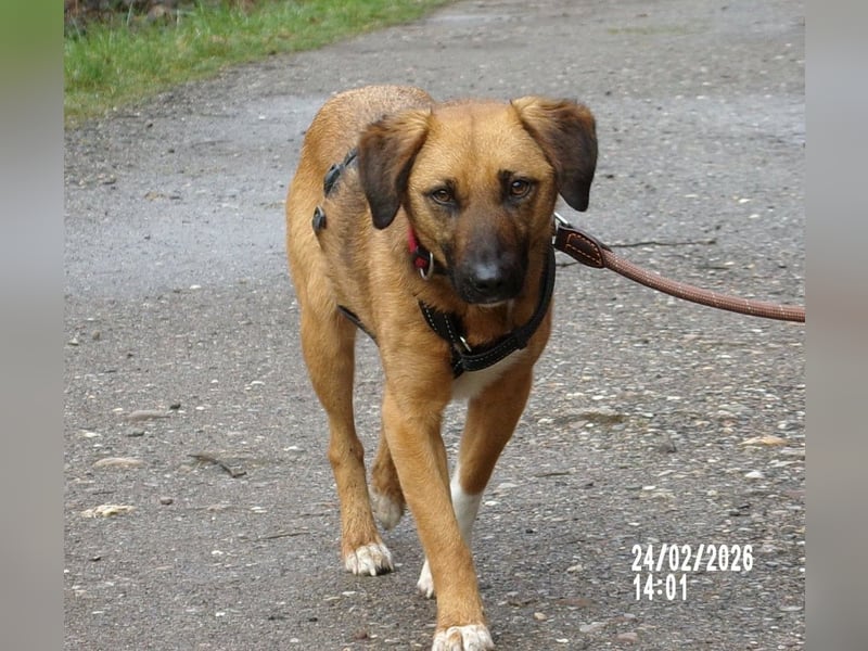 Sira wartet auf ihr Happy End