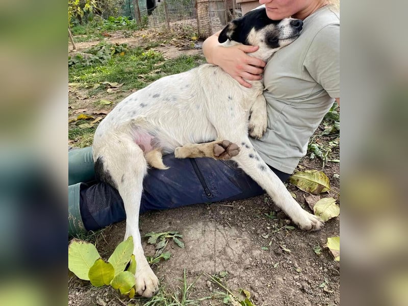 Jaron - bildhübscher, junger Bursche