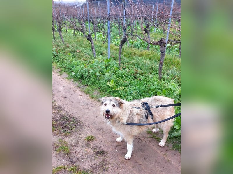 Freundliche Mia sucht Ihre Herzensmenschen