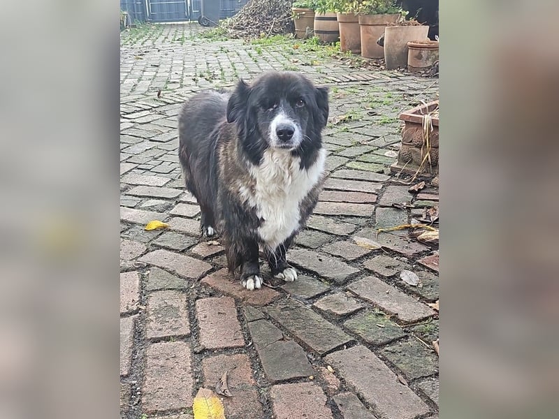 Gnadenplatz für Max gesucht