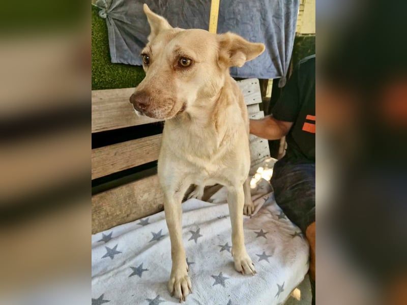 Delia, sanfte Schönheit sucht ihre Familie