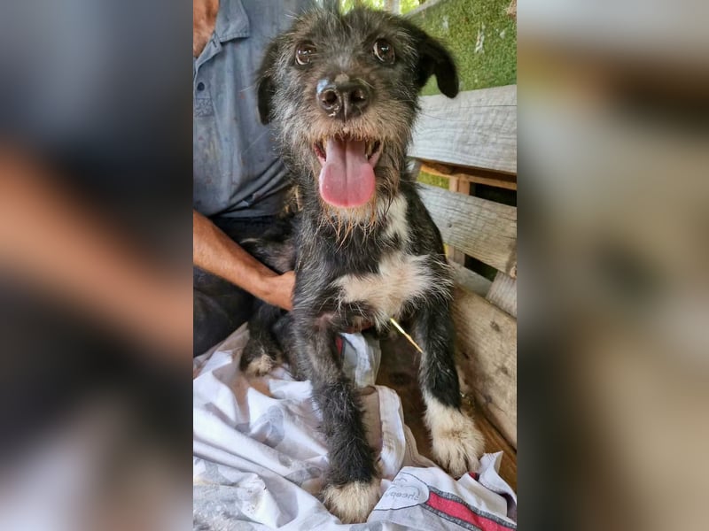 Luna sucht einen Ort zum Ankommen
