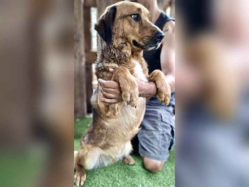 Freundlicher, ruhiger Kiran