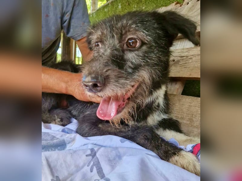 Luna sucht einen Ort zum Ankommen