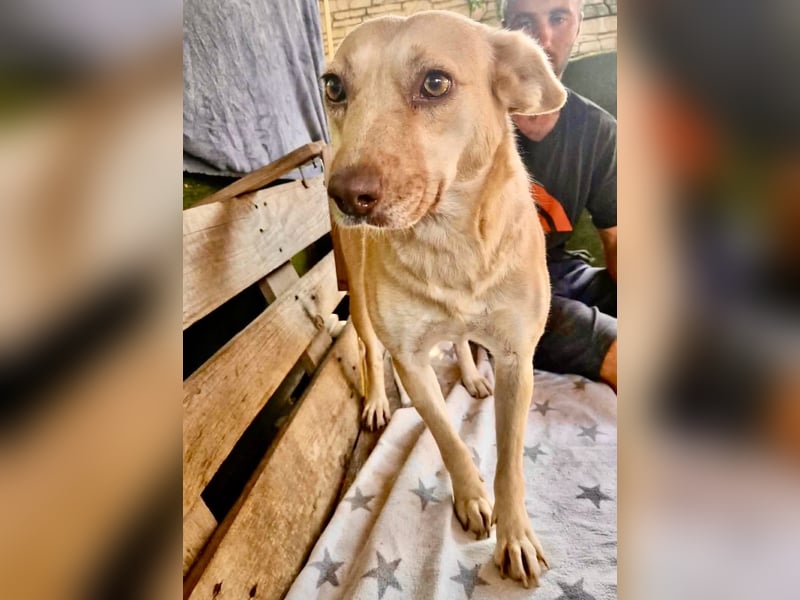 Delia, sanfte Schönheit sucht ihre Familie